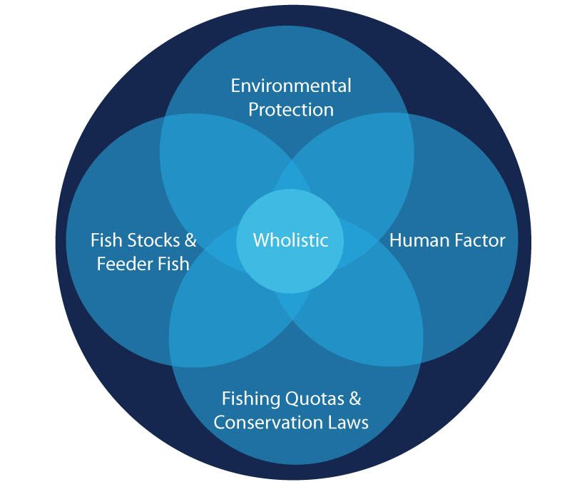 A Makeover for US Fishery Management With an Updated Holistic Healing Approach