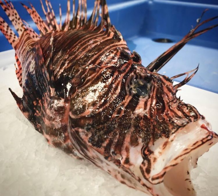 6 Crazy Fish (You Can Actually Eat)