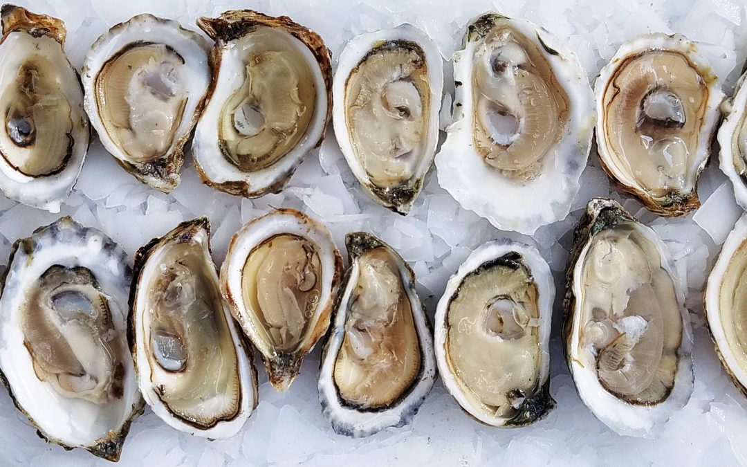 A No-Nonsense Guide to East Coast Oysters